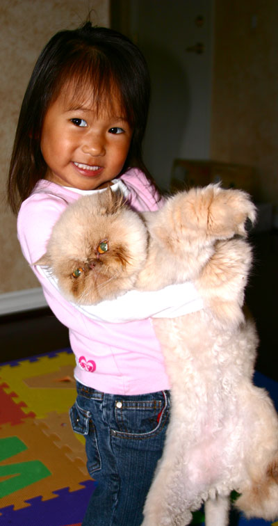cat-and-kid.jpg
